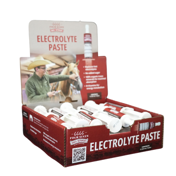 Electrolyte Paste